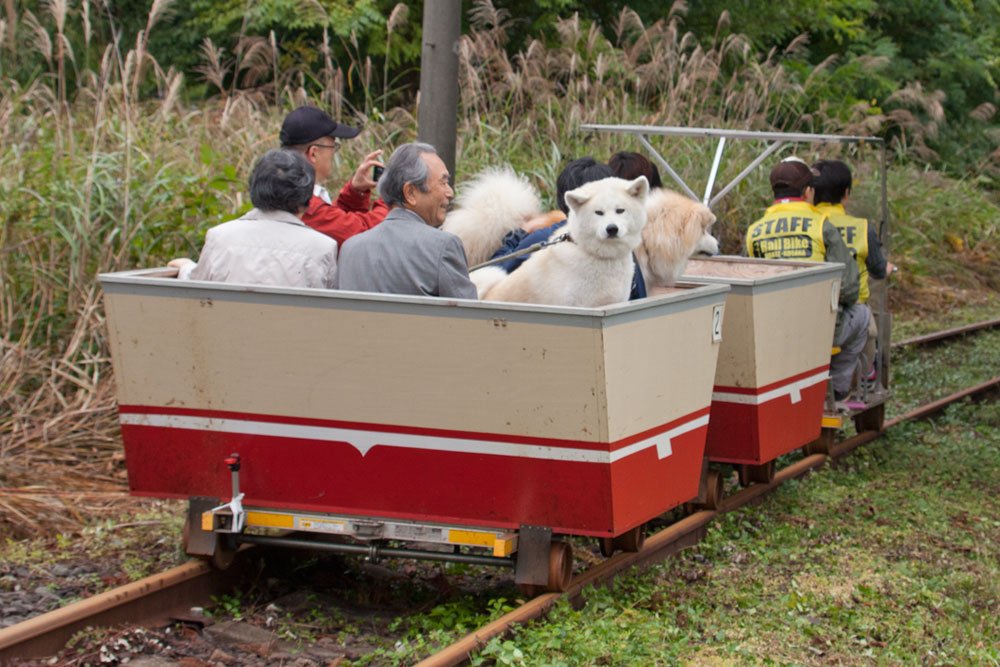 🚲 오다테·코사카 철도 레일바이크 이미지 5